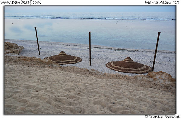 Holiday Beach Resort Beach Marsa Alam Red Sea