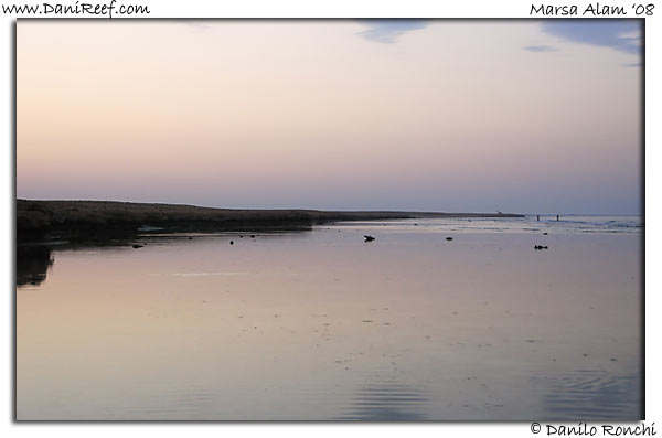 Holiday Beach Resort Beach Marsa Alam Red Sea