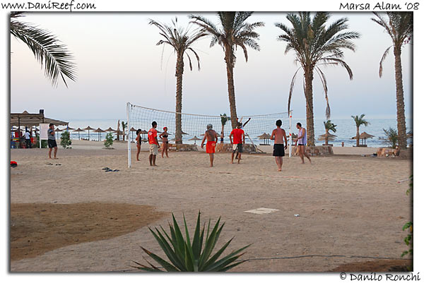 Holiday Beach Resort