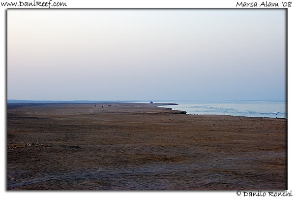 Holiday Beach Resort Beach Marsa Alam Red Sea