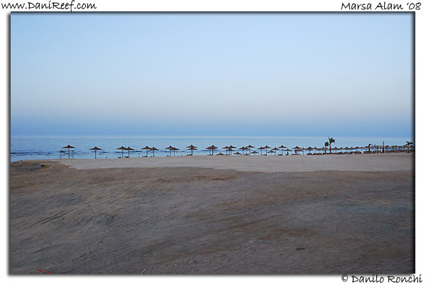 Holiday Beach Resort Beach Marsa Alam Red Sea