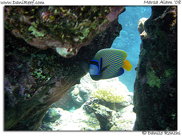 Holiday Beach Resort Beach Marsa Alam Red Sea Lagoon