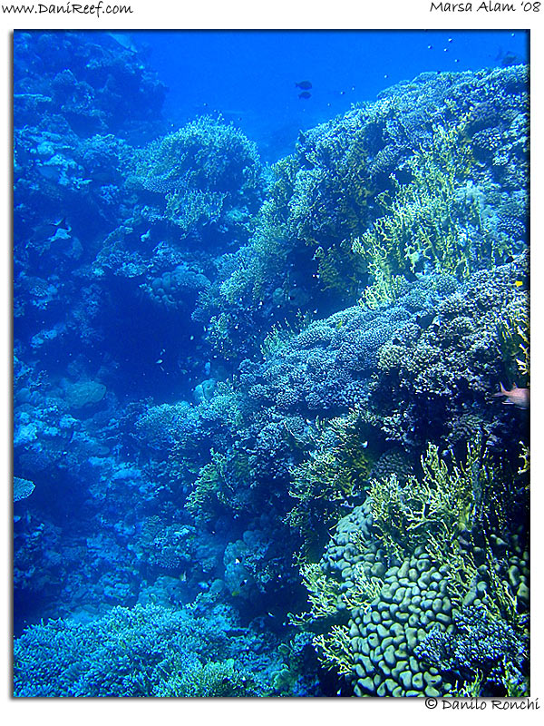 Holiday Beach Resort Beach Marsa Alam Red Sea Lagoon