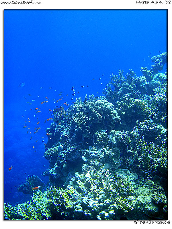 Holiday Beach Resort Beach Marsa Alam Red Sea Lagoon