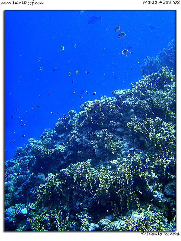 Holiday Beach Resort Beach Marsa Alam Red Sea Lagoon