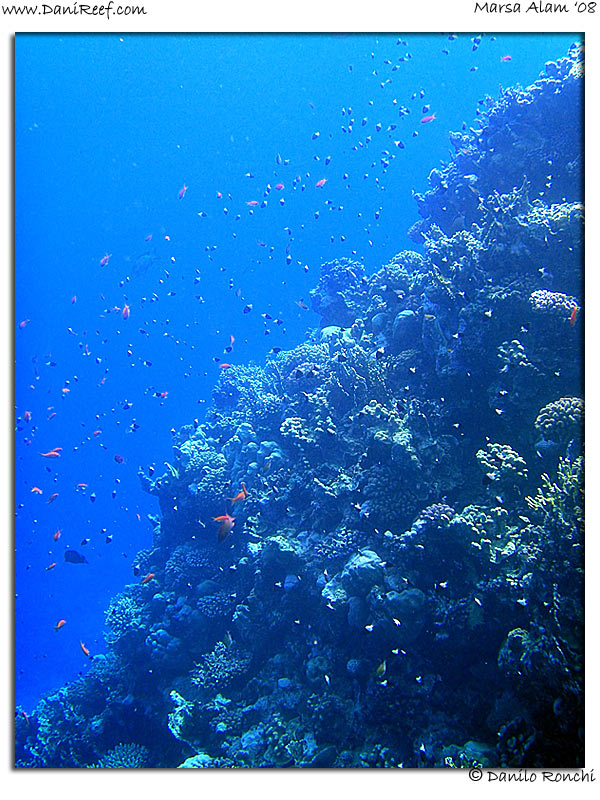 Holiday Beach Resort Beach Marsa Alam Red Sea Lagoon