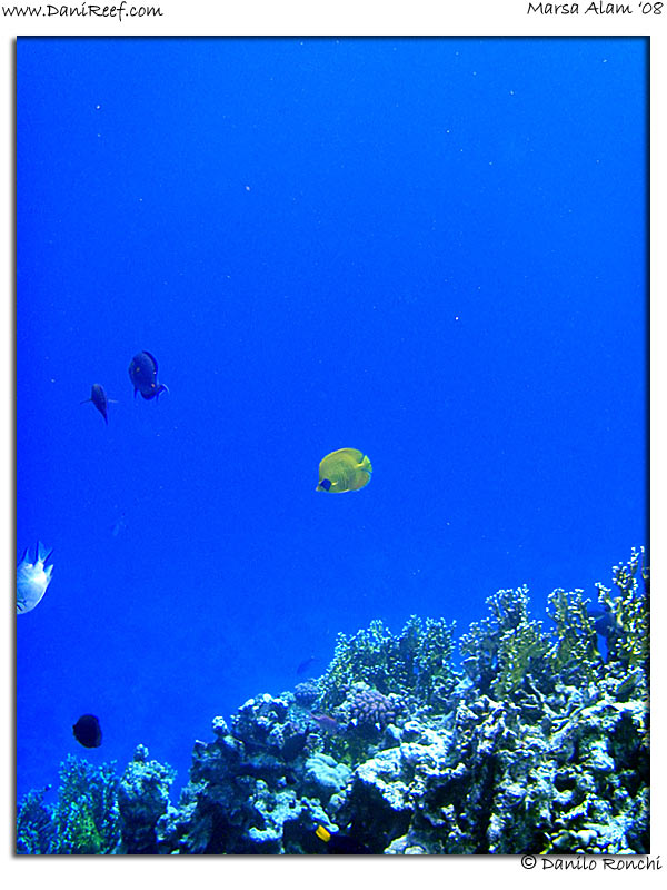 Holiday Beach Resort Beach Marsa Alam Red Sea Lagoon