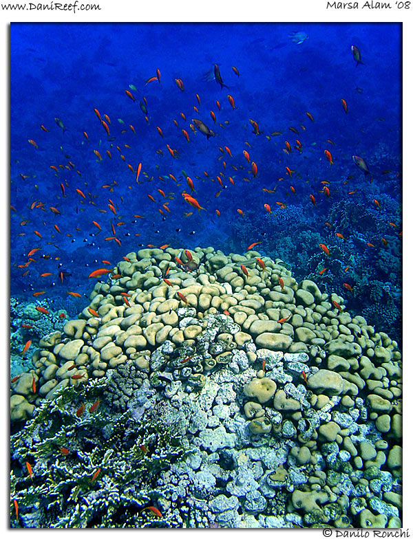 Holiday Beach Resort Beach Marsa Alam Red Sea Lagoon