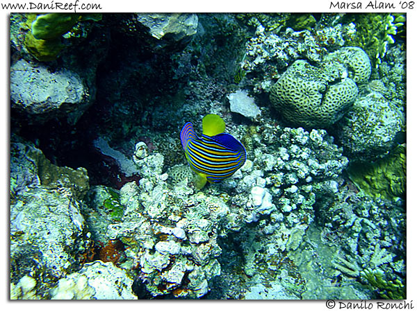 Holiday Beach Resort Beach Marsa Alam Red Sea Lagoon