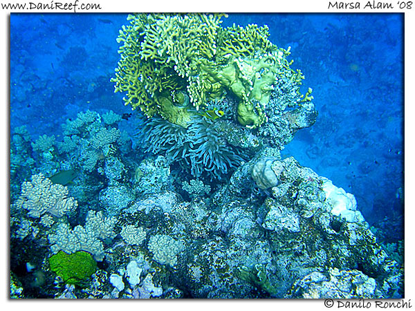 Holiday Beach Resort Beach Marsa Alam Red Sea Lagoon