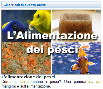Acquaportal