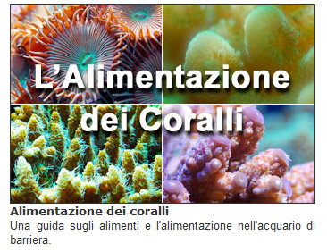 Acquaportal