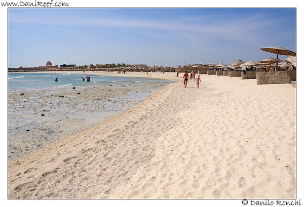 Abu Dabbab