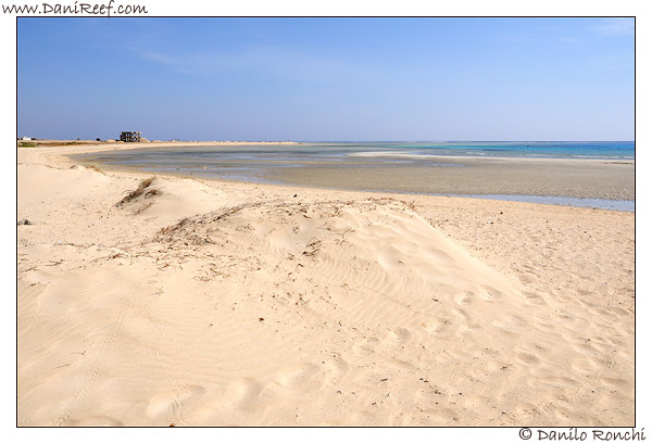 Marsa Shoona