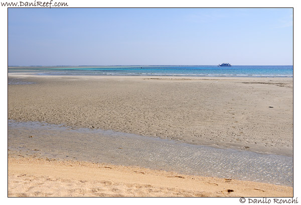 Marsa Shoona