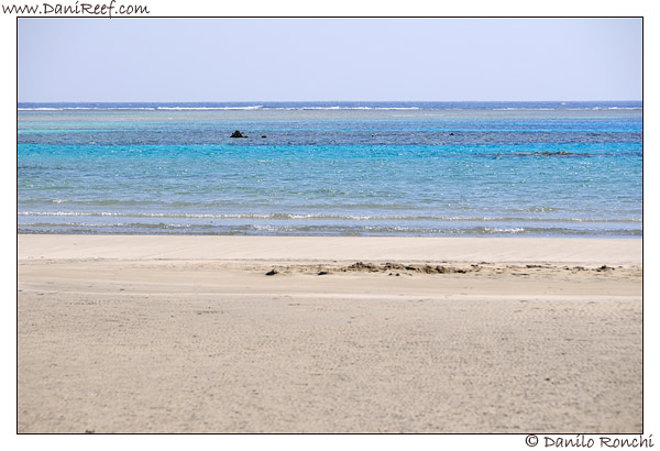 Marsa Shoona