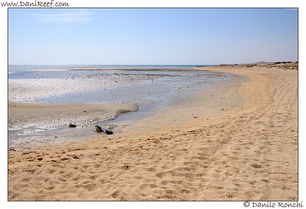 Marsa Shoona