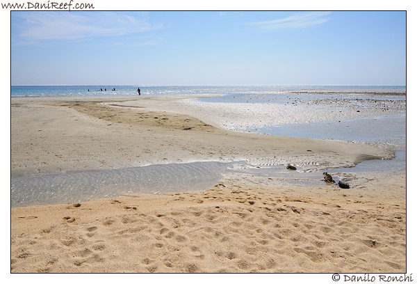Marsa Shoona