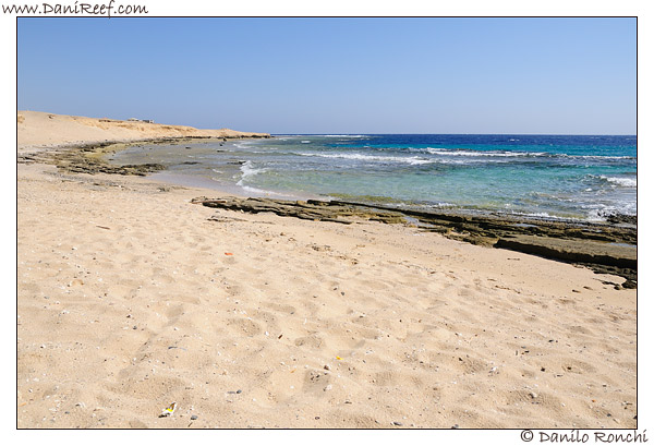 Marsa Murein