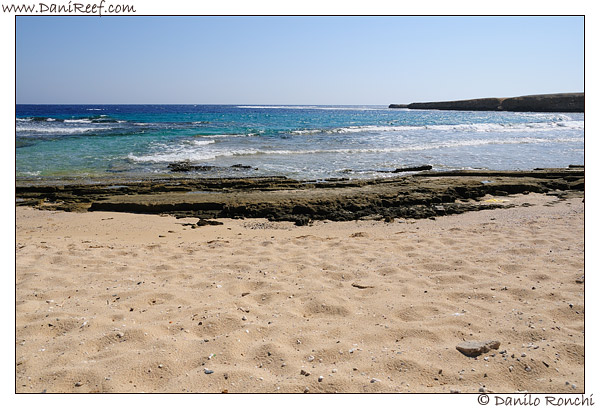 Marsa Murein