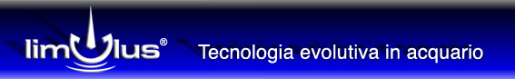 Banner Limulus