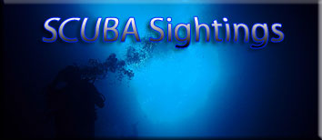 Scuba