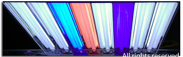 Cambiati i Neon alla Plafoniera – Changing the T5 ligths