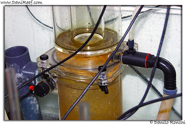 Manutenzione dello schiumatoio – Skimmer cleaning operation