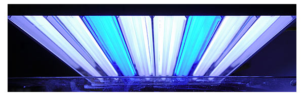 Ancora sui neon T5 – Changing T5 again