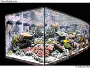 La vasca di Luca Girlando “Lucasabao” – The tank of