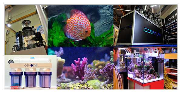 Reportage Zoomark 2009