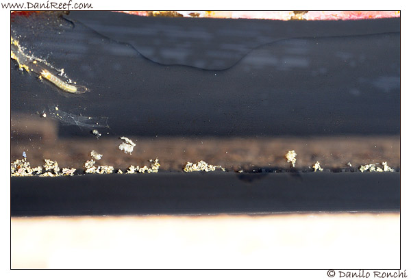 La mia vasca mi sta lasciando…