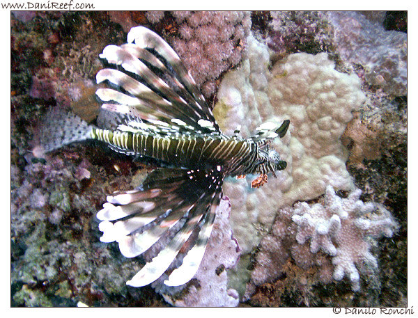 Marsa Alam – Marsa Murein