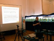 L’Acquario come fotografarlo: Corso di fotografia parte I