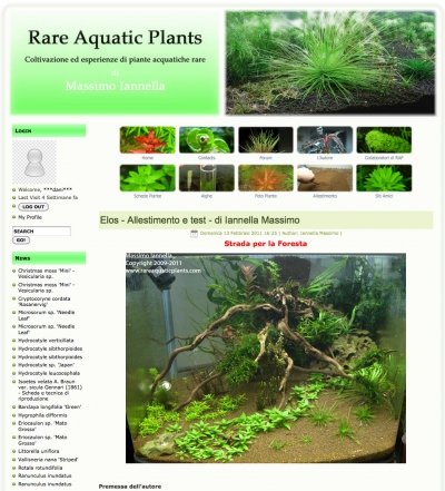 Elos Webring: Rare Aquatic Plants… A road to the forest!