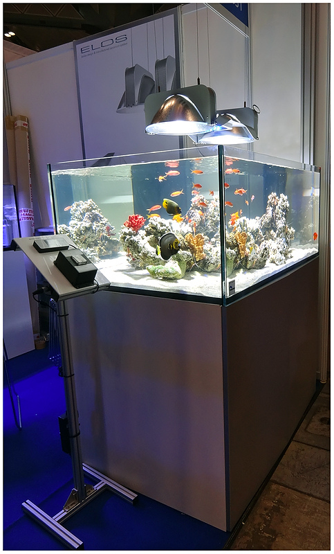 ELOS @ Aquarama 2011