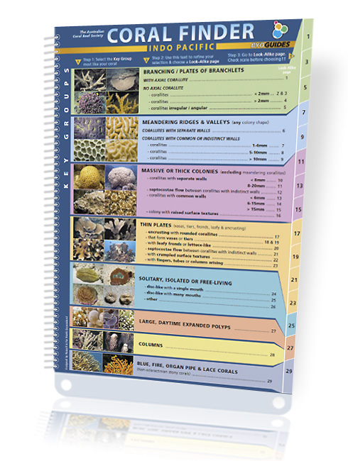Coral finder: a new way to identify corals!
