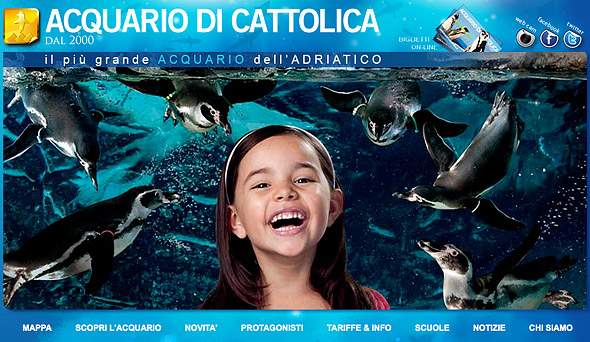 Fremono i preparativi per il primo Teco Open Day presso l’Acquario di Cattolica