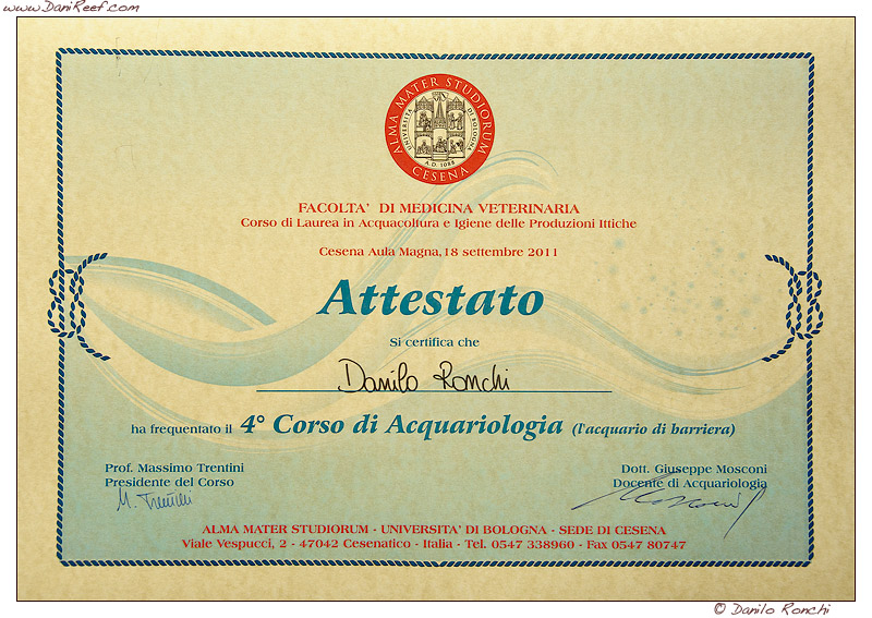 Quarto corso di Acquariologia, acquario di barriera, vediamo come è andata