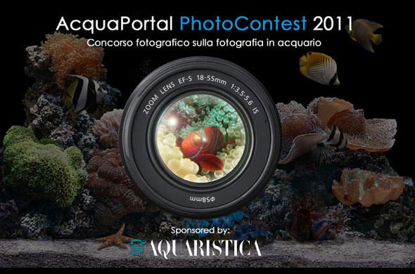 Photocontest 2011 by Acquaportal