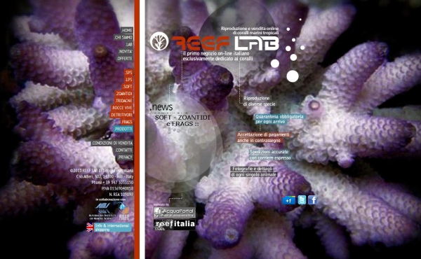 Reeflab si rifà il look…. e non solo.