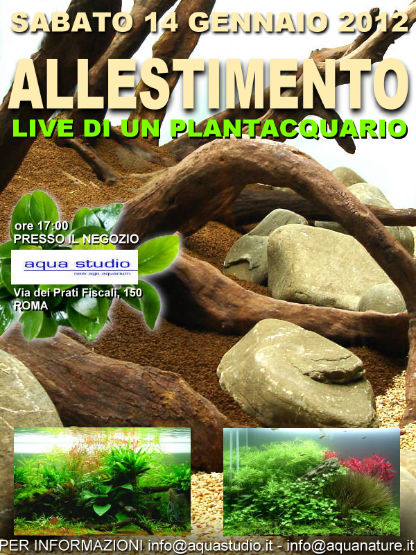AquaStudio Roma presenta un allestimento live di un PlantAcquario sabato 14 gennaio
