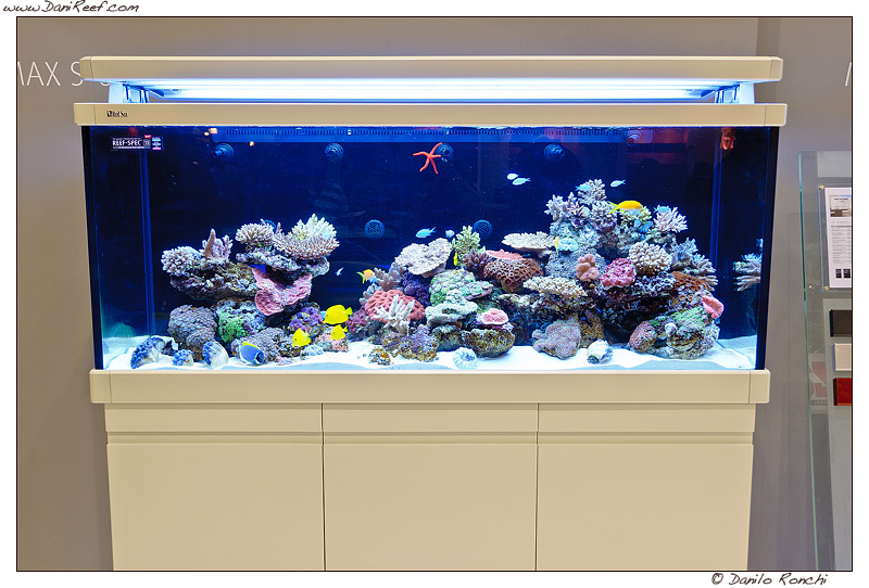 Interzoo 2012: Lo stand Red Sea