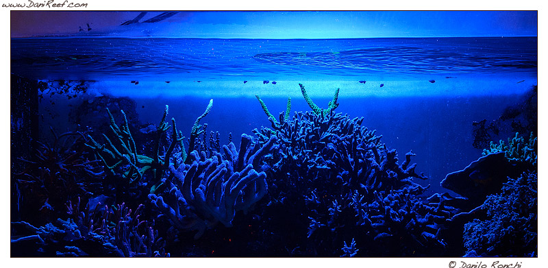 Passare da HQi a Led… la mia vasca a disposizione per un test approfondito