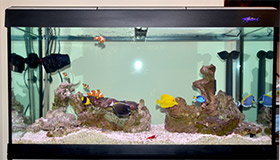 A volte i negozianti sono i peggiori nemici di se stessi