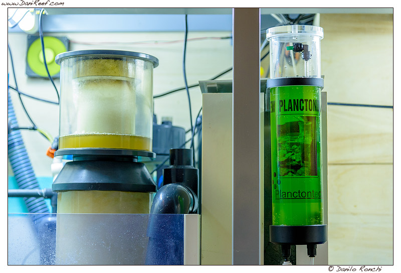 New Planctondose di Planctontech in prova su DaniReef