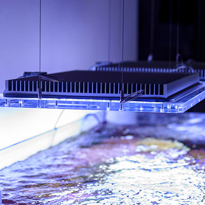 Presentazione: Plafoniera Led Sicce AM-Serie 466