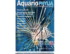 Aquariophylia cambia server