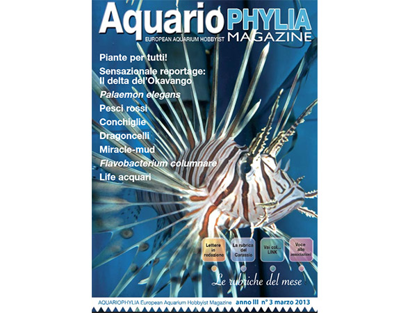 aquariophylia_3_2013