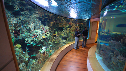 Issham Aquatics - Acquario marino privato da 325.000 litri di volume.